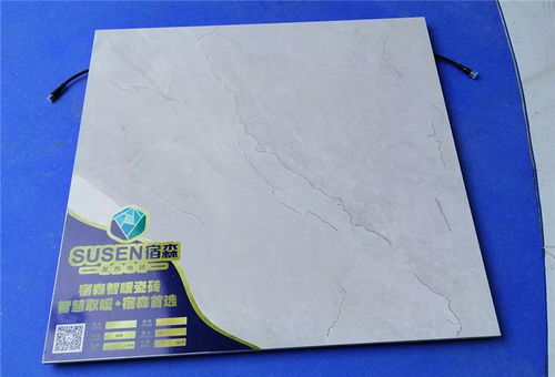 科技創新引領未來生活 智暖發熱瓷磚、宿森電采暖與石墨烯地暖的研發探索